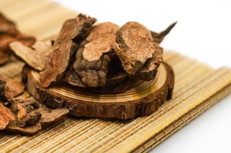 hà thủ ô mọc tóc